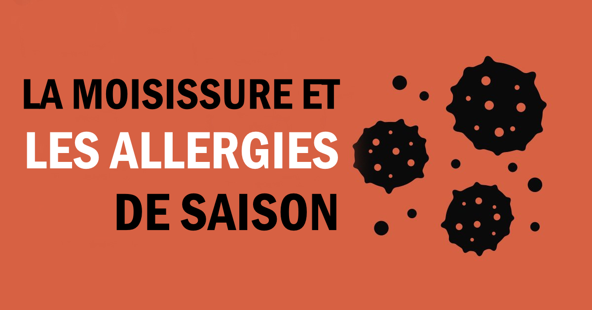 Moisissure et allergies