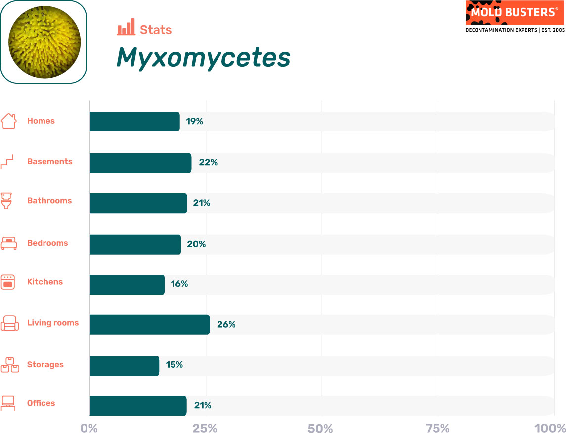 Myxomycetes statistics