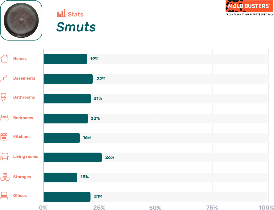 Smuts statistics