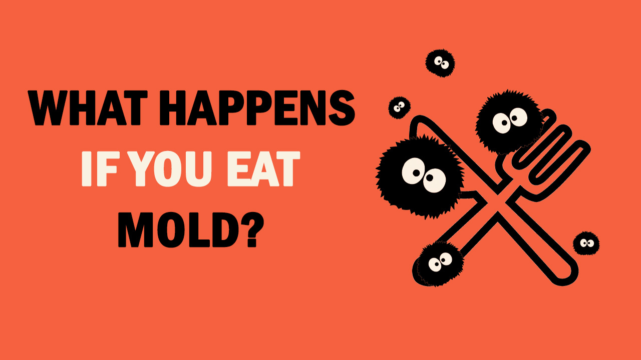 What Happens If You Eat Mold?