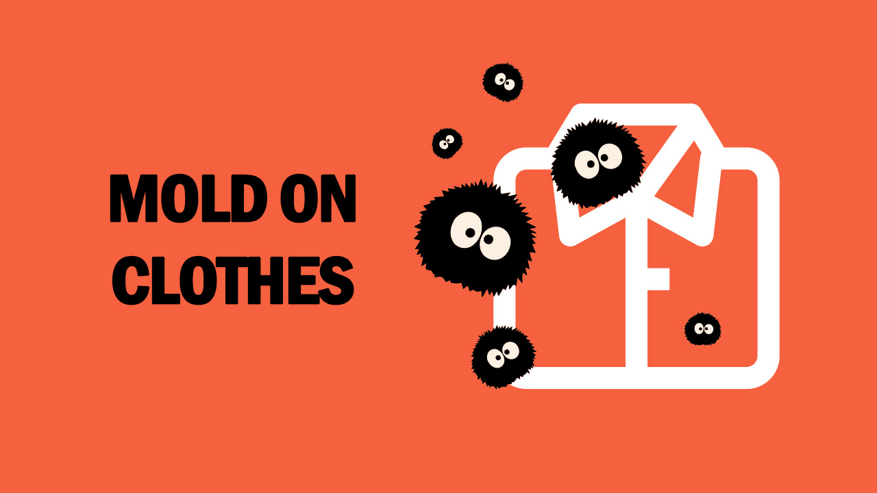 How to Get Mold Out of Clothes