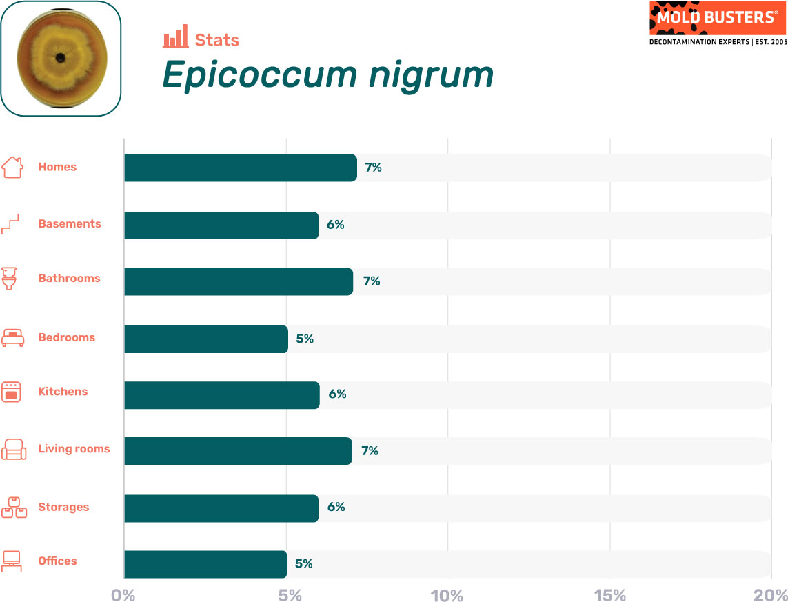 Epicoccum statistics