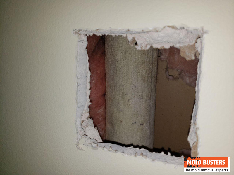 step 11 asbestos in drywall testing surprise