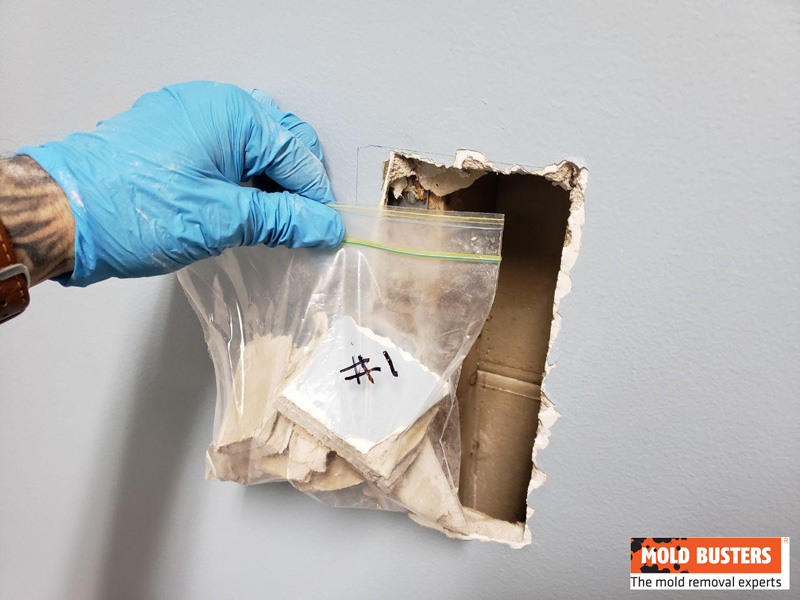 step 6 asbestos in drywall testing collecting samples in zip bags