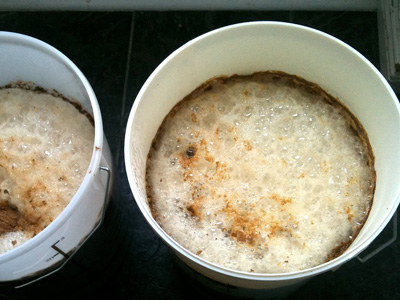 yeast fermentation