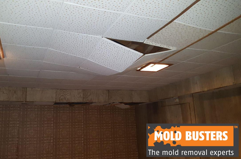 Asbestos In Tiles How To Recognize And Remove Mold Busters