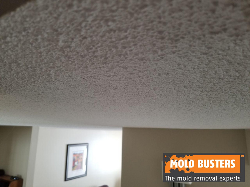 Asbestos Ceiling Stipple (Popcorn Ceiling)