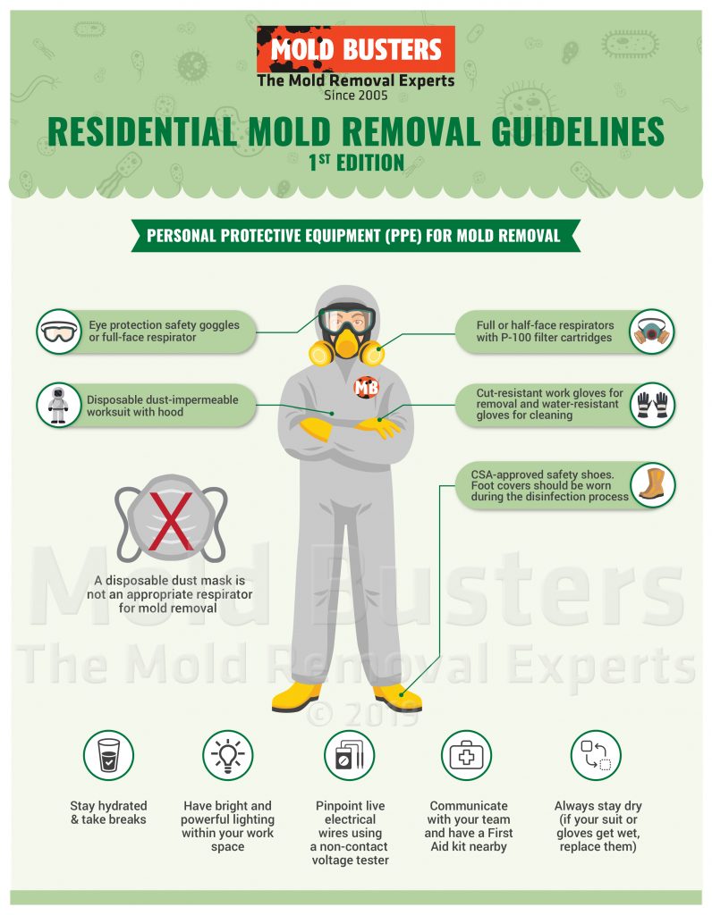Personal Protective Equipment for Mold Removal Infographic