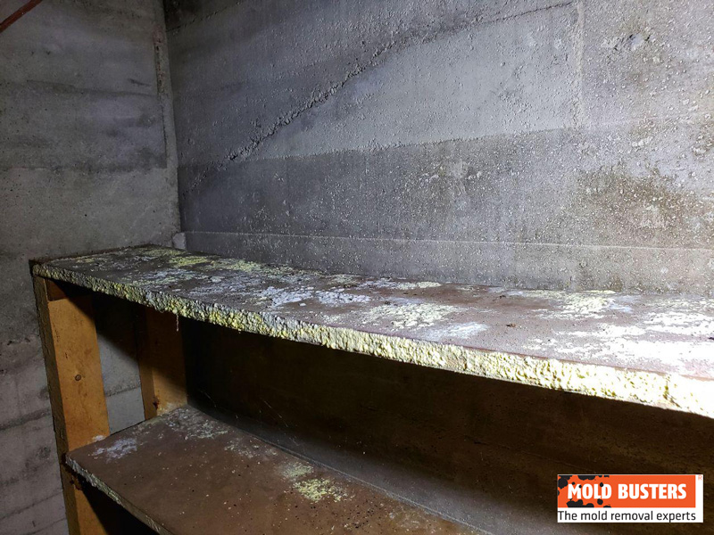 mold in cold storage room 03