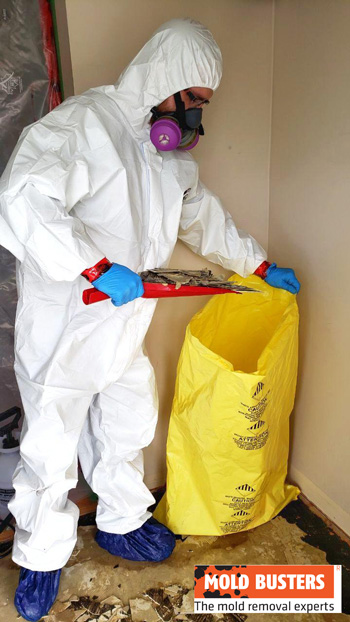 professional asbestos abatement