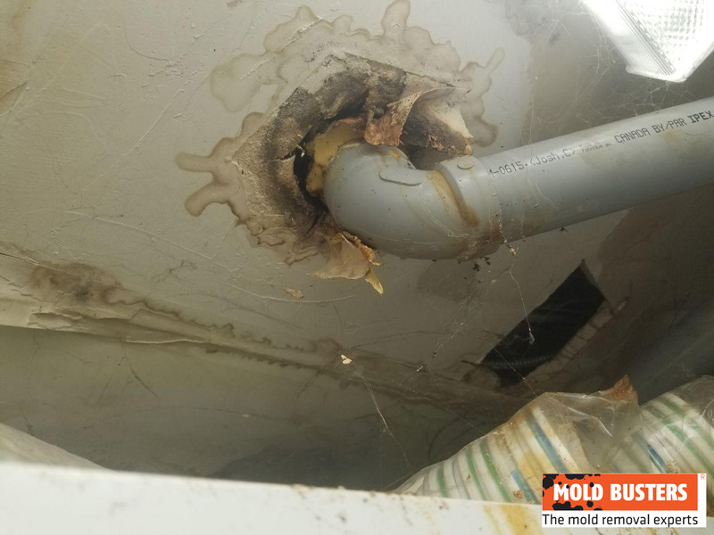 water damage and mold growth in kitchen