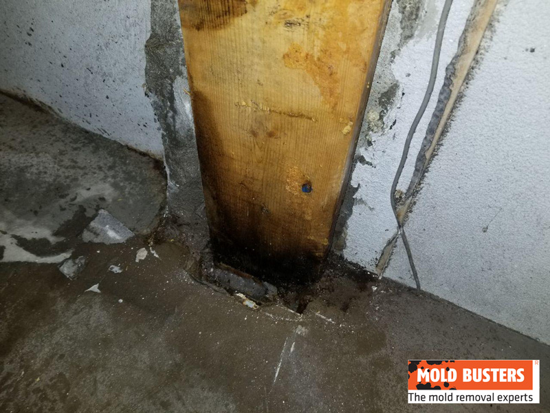 common structural damage caused by water damage