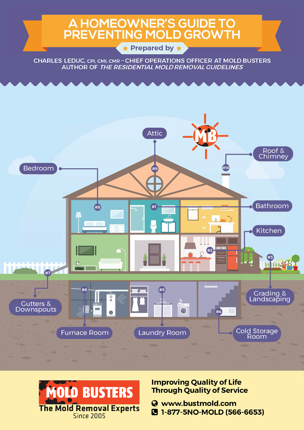 homeowners guide to preventing mold growth