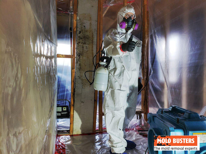 Containment and safe mold removal
