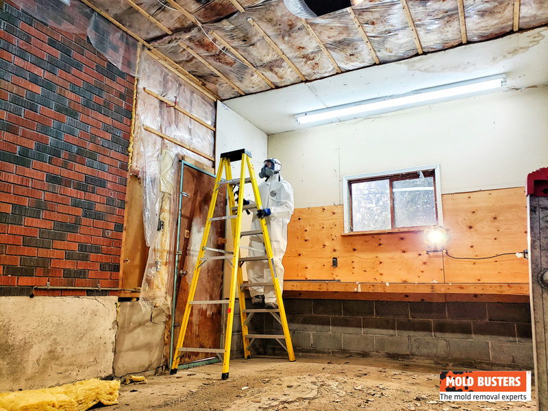 Mold Remediation Garage Prep