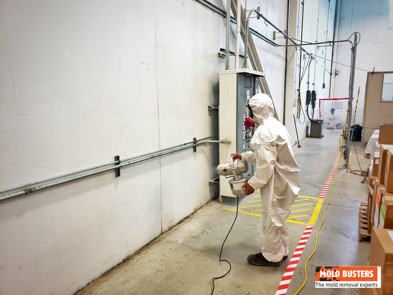 Remediation Technician Fogging with a Fungicide