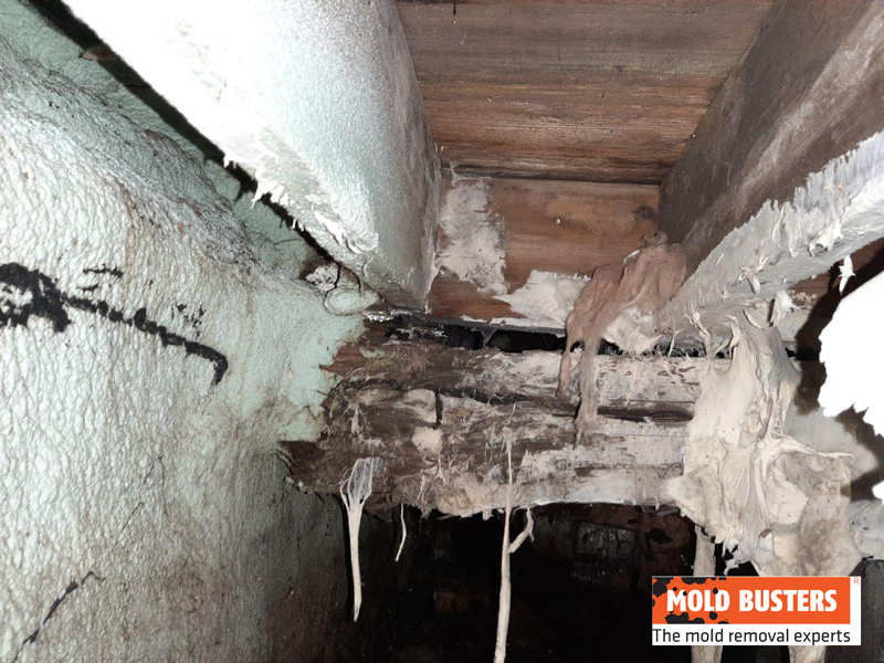dry rot along support joist and sublooring crawlspace