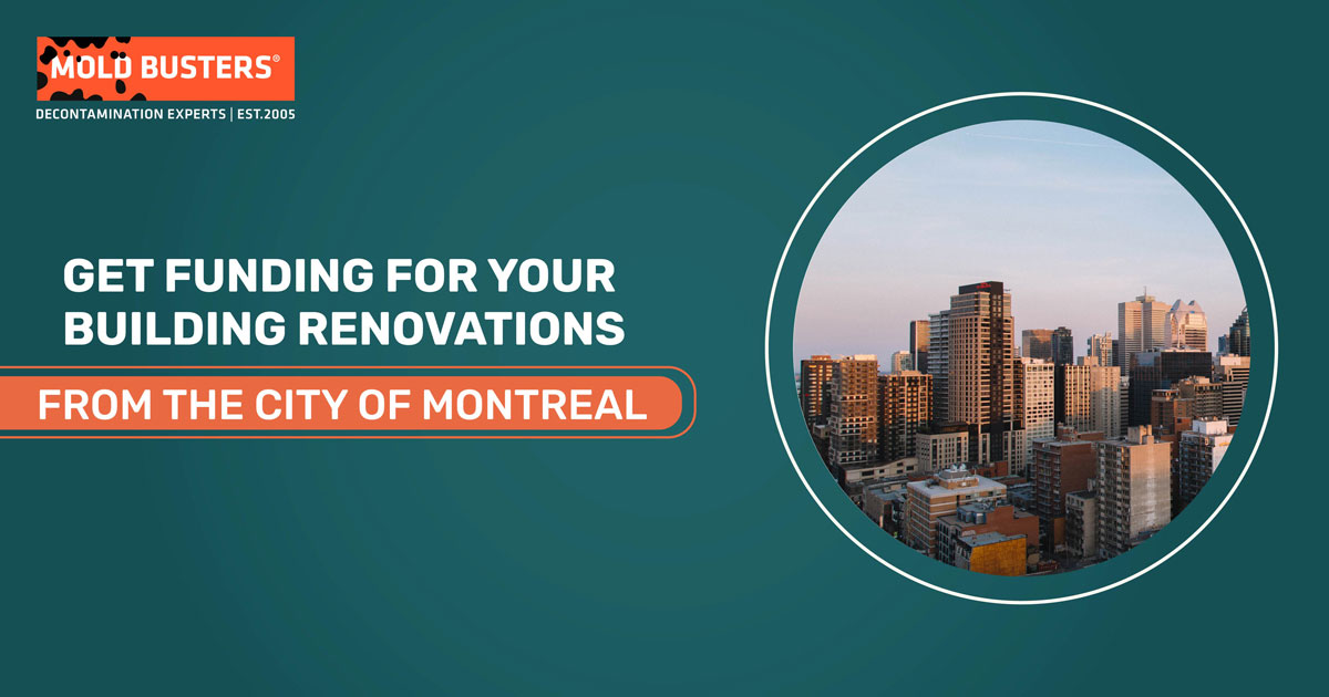 Get Funding for Your Building Renovations from the City of Montreal
