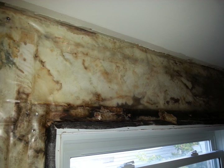mold testing ottawa hidden wall mold1