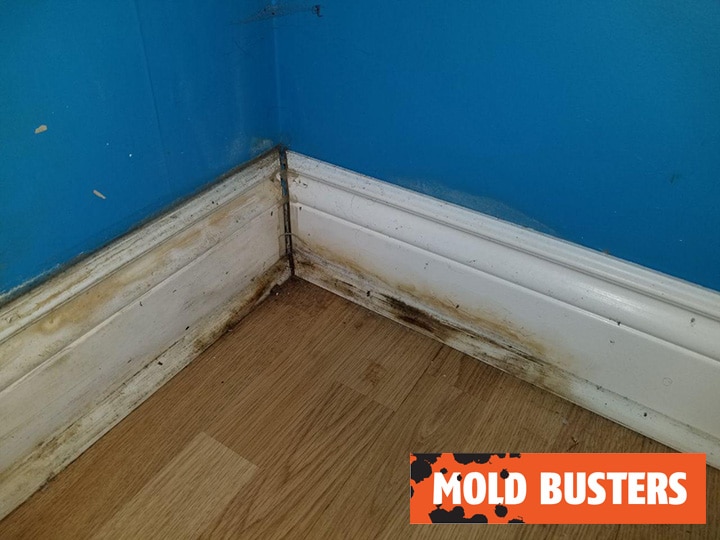 Bedroom mold removal