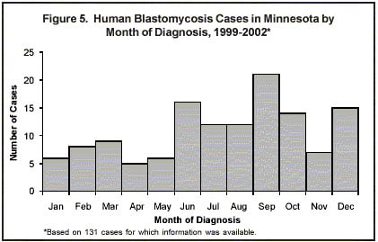 blastomycosis outbreaks