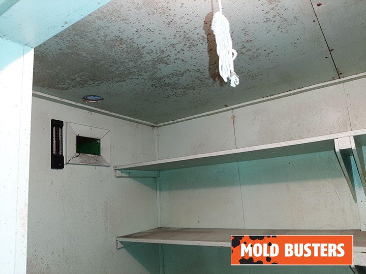 Cold storage room mold removal