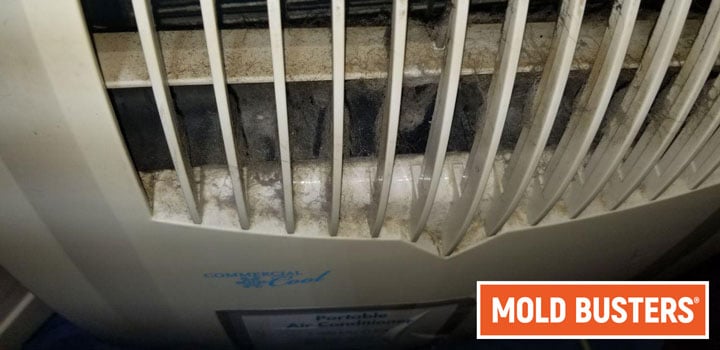 Dust in Portable Air Conditioner