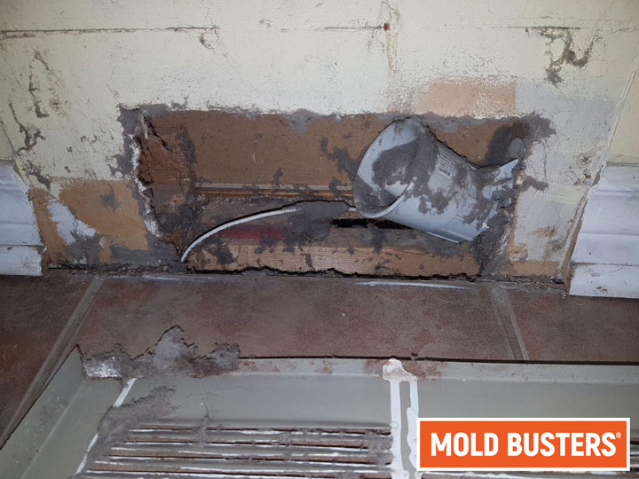 Dust & Mold in Vents and Ductwork