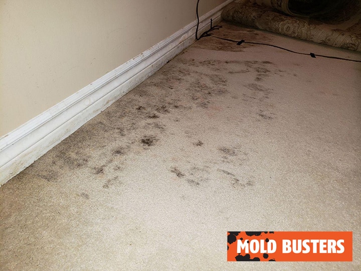 Hidden carpet mold