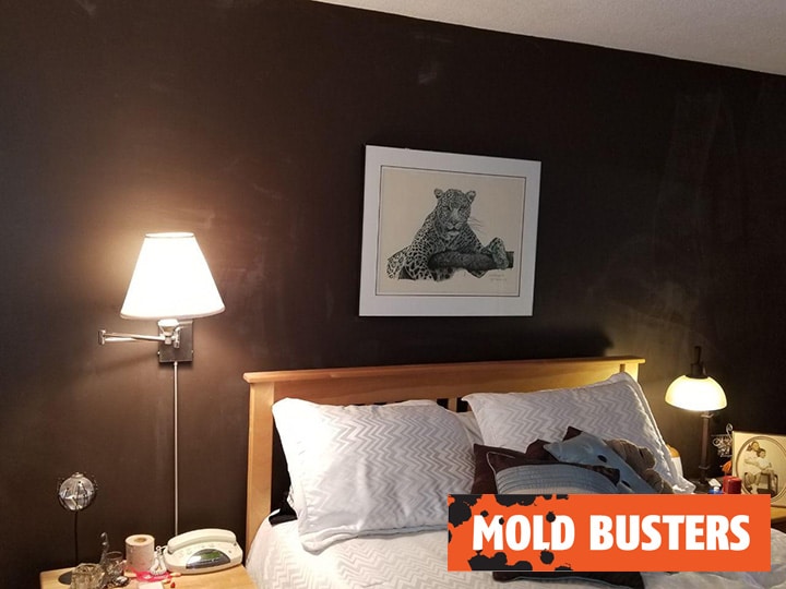 Hidden mold in bedroom