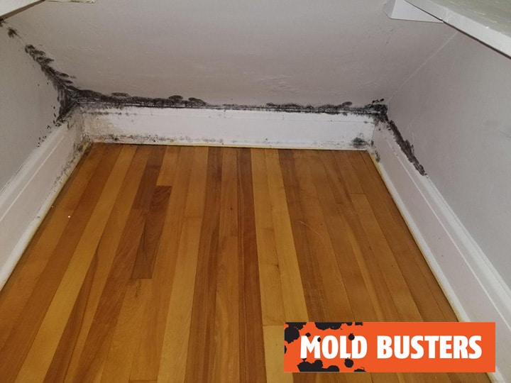 How to get rid of bedroom mold