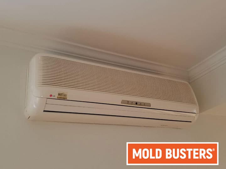 Mold in Air Conditioner