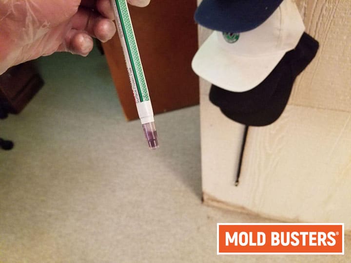 mold testing swab test results