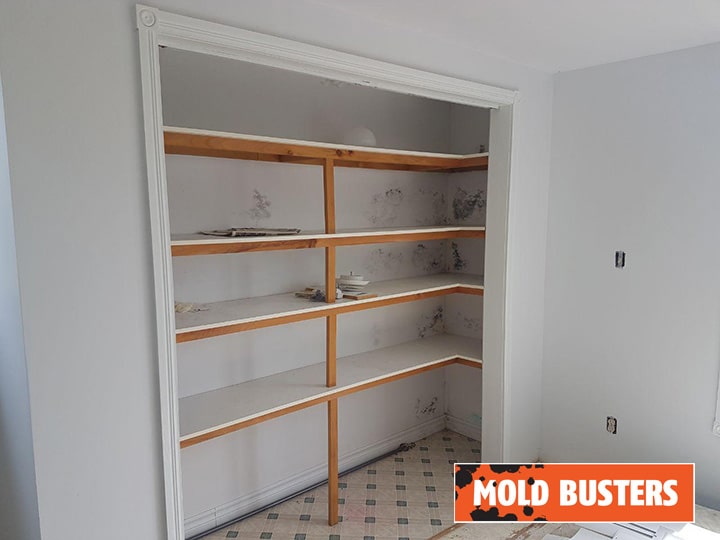 Storage room mold