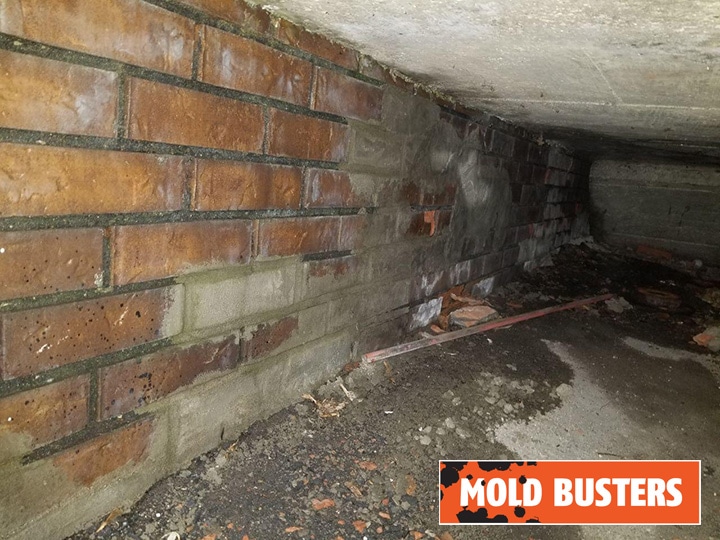 Causes of mold in crawl space