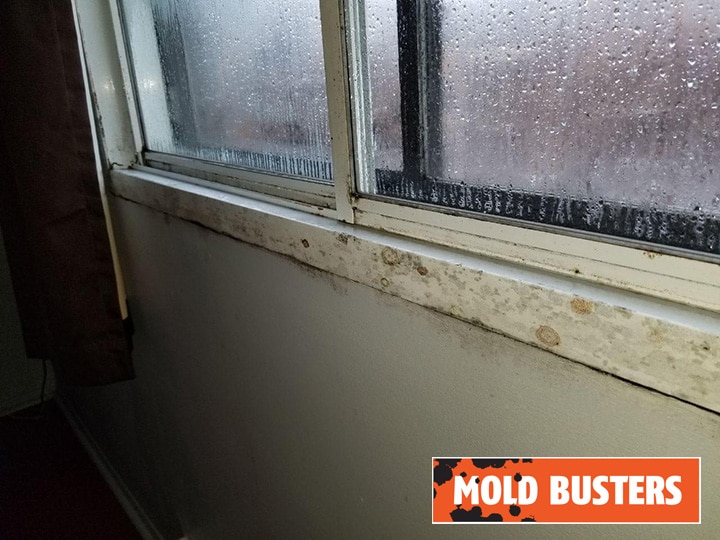 Causes of windows mold