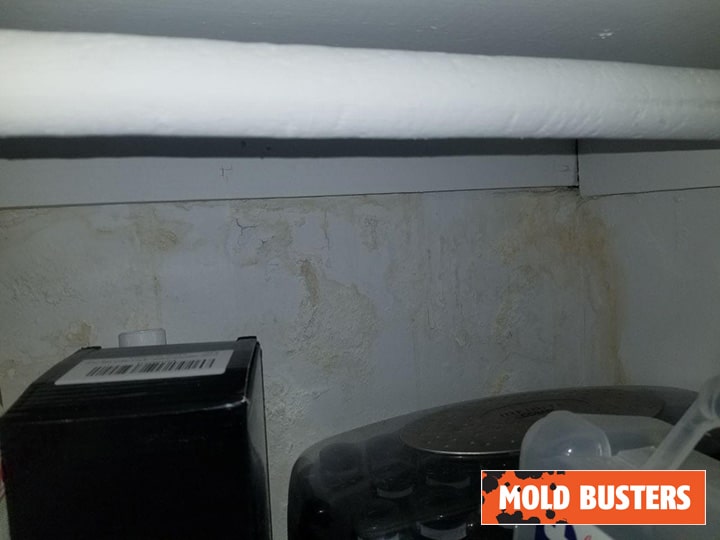 Cold storage room ventilation service