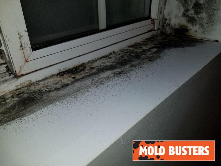 How to remove window mold