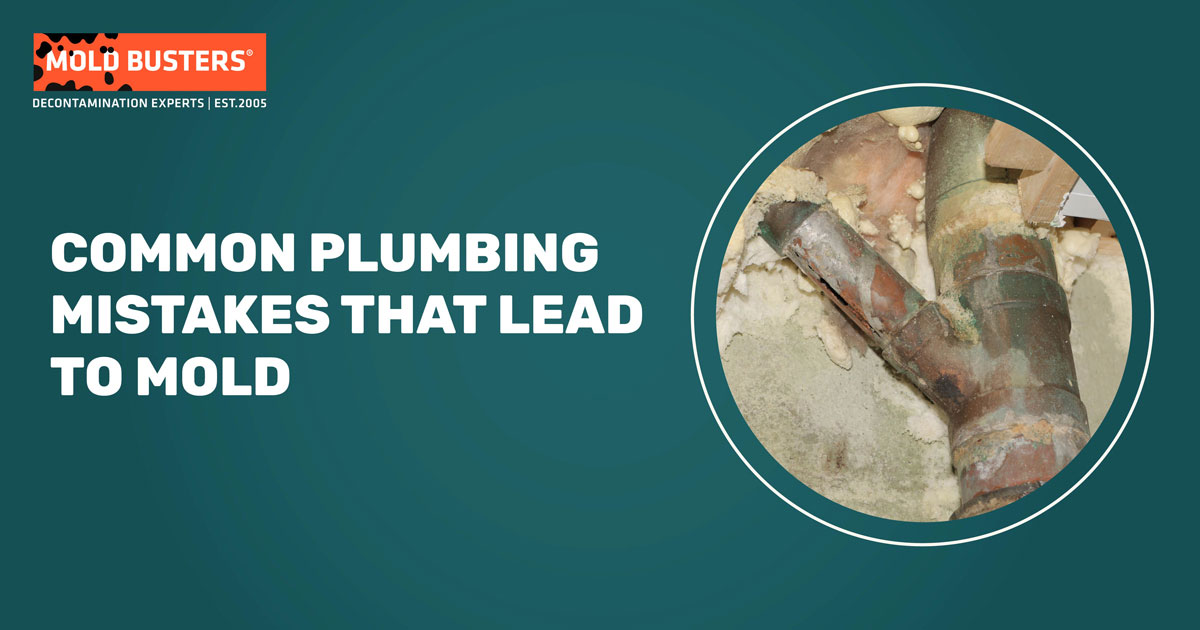 Common Plumbing Mistakes That Lead To Mold