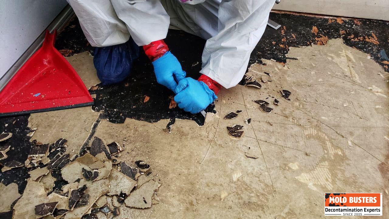 removing anthophyllite asbestos