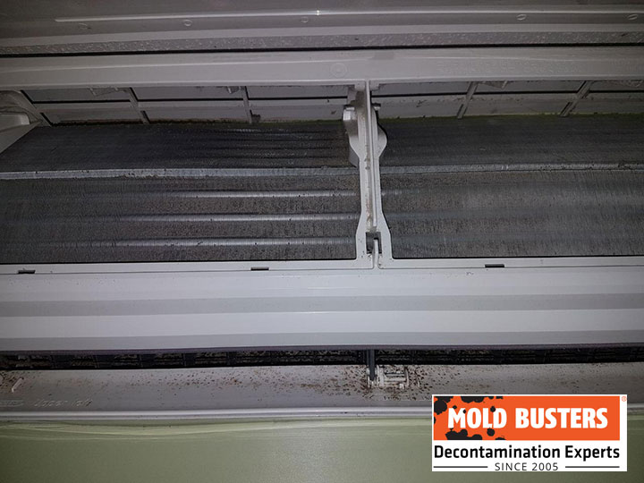 ac unit with mold