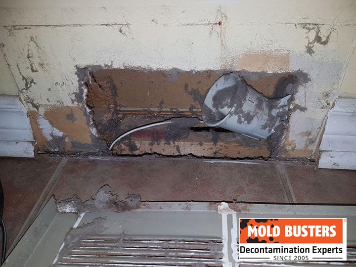 dust mold in vents and ductwork