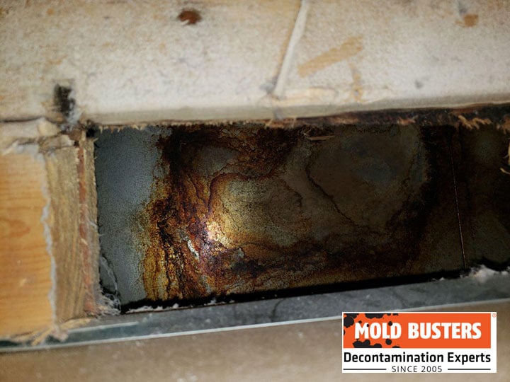 mold in air vents inspection