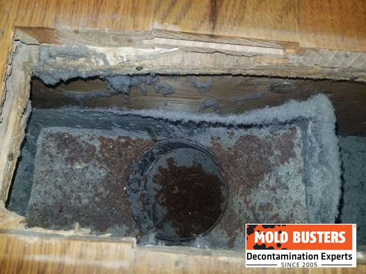 mold in air vents