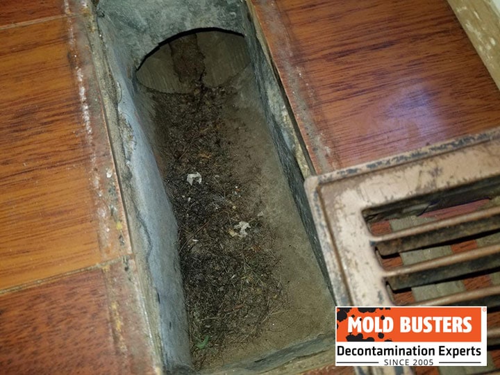 mold inside air vents