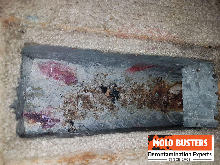 prevent mold in air vents