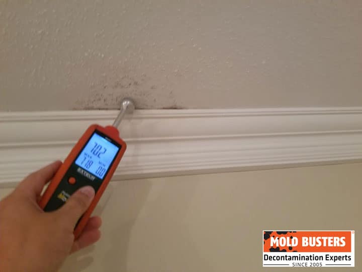 Inspection of Mold on Popcorn Ceiling