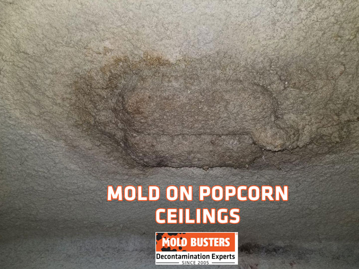 Mold on Popcorn Ceilings