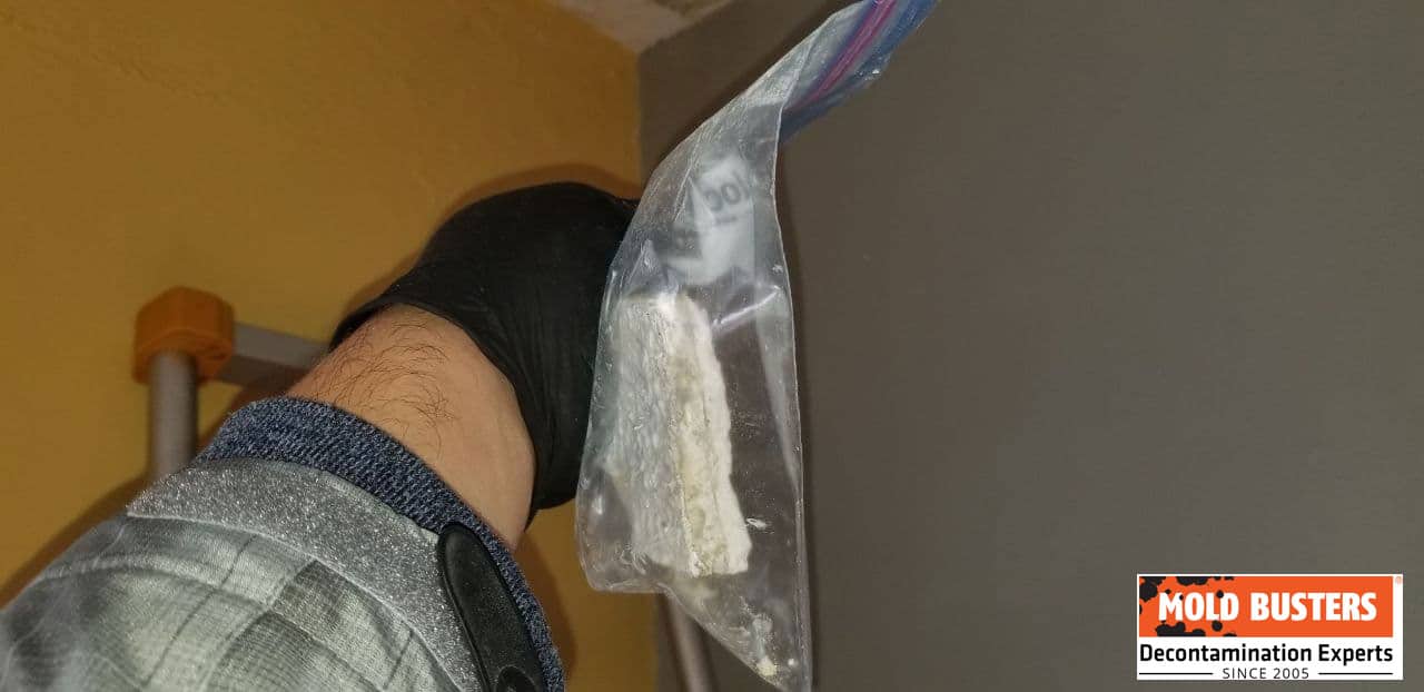tremolite asbestos stipple ceiling plaster drywall sample