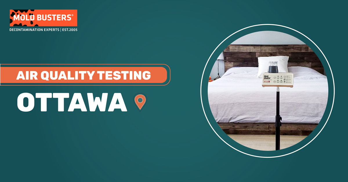 Air Quality Testing Ottawa Certified & Fast Results